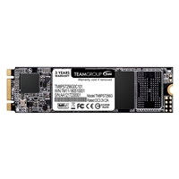 Team MS30 (TM8PS7256G0C101) 256GB, M.2 Sata Interface, PCIe Gen3, Read 550MB/s, Write 470MB/s, 3 Year Warranty