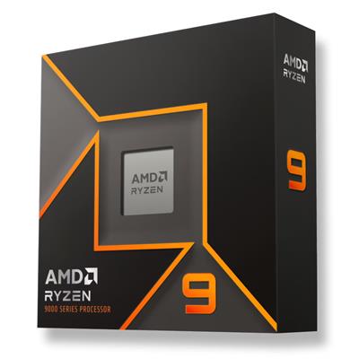 AMD RYZEN 9 9900X AM5 RET WOF