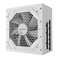GIGABYTE GP-UD750GM 750W V2 ICE, 80 Plus Gold Certified Fully Modular Power Supply, PCIe Gen 5.1, 80 PLUS Gold, Fully Mo