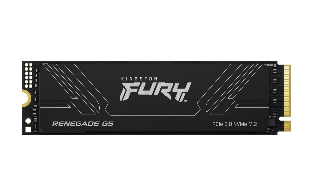 KINGSTON 1TB FURY RENEGADE G5 SSD